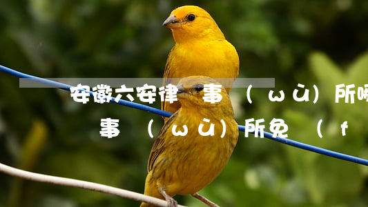安徽六安律師事務(wù)所哪里有(六安律師事務(wù)所免費(fèi)咨詢地址)