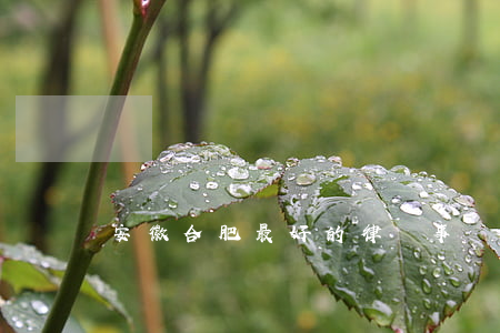 安徽合肥最好的律師事務(wù)所在哪里