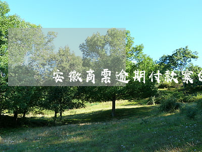 安徽商票逾期付款案例 商票违约起诉