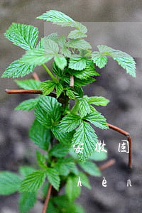 安徽固鎮(zhèn)律師事務所(固鎮(zhèn)縣法律援助中心律師)