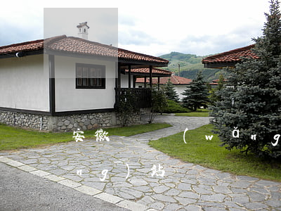 安徽國稅網(wǎng)(安徽國稅網(wǎng)站)