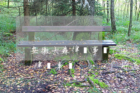 安徽大森律師事務(wù)所地址(蕪湖大森律師事務(wù)所怎么樣)