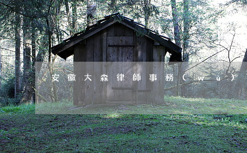 安徽大森律師事務(wù)所怎么樣