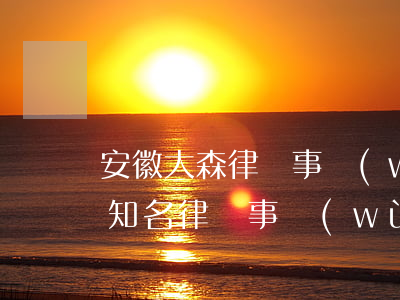 安徽大森律師事務(wù)所蕪湖分所(蕪湖知名律師事務(wù)所)