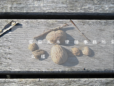 安徽天禾律師事務所(安徽天禾律師事務所怎么樣)