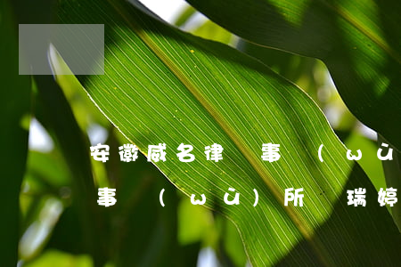 安徽威名律師事務(wù)所(安徽威名律師事務(wù)所韋瑞婷)