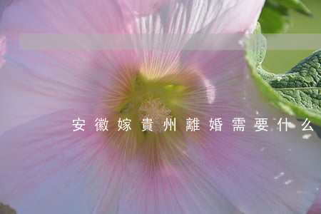 安徽嫁貴州離婚需要什么手續(xù)