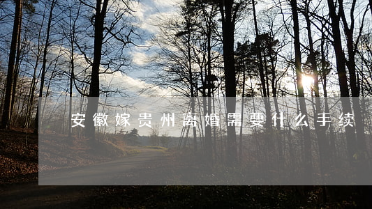 安徽嫁贵州离婚需要什么手续