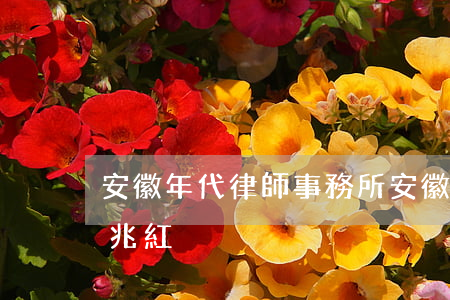安徽年代律師事務所(安徽年代律師事務所肖兆紅)