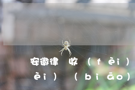 安徽律師收費(fèi)(安徽律師收費(fèi)標(biāo)準(zhǔn)2020)