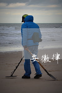 安徽律師收費辦法(安徽省律師收費)