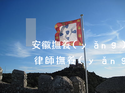安徽撫養(yǎng)權(quán)變更律師(撫養(yǎng)權(quán)律師咨詢免費(fèi))