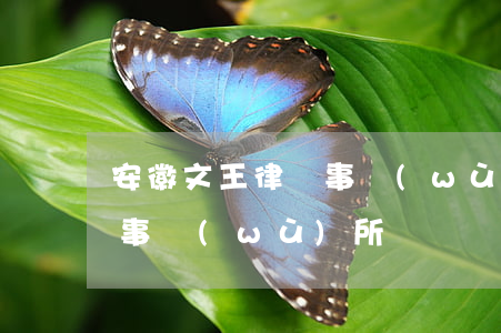 安徽文王律師事務(wù)所(安徽文都律師事務(wù)所)