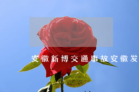 安徽新博交通事故(安徽发生交通事故)