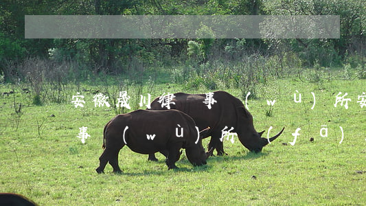 安徽晟川律師事務(wù)所(安徽晟川律師事務(wù)所發(fā)展理念)