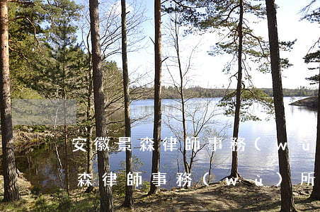 安徽景森律師事務(wù)所怎么樣(安徽林森律師事務(wù)所)