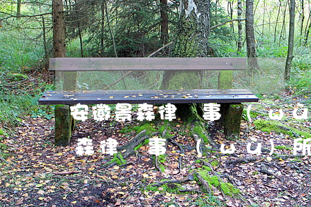 安徽景森律師事務(wù)所怎么樣(安徽禾森律師事務(wù)所)