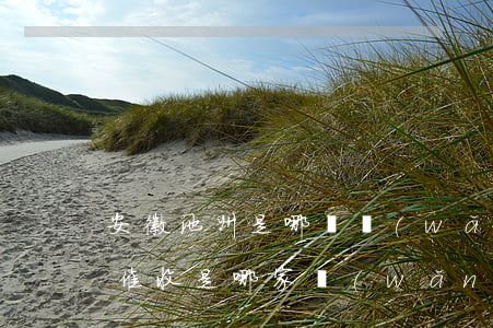 安徽池州是哪個網(wǎng)貸催收(安徽催收是哪家網(wǎng)貸)