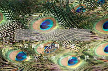 安徽疫情期間機(jī)動(dòng)車逾期年檢(安徽疫情期間機(jī)動(dòng)車逾期年檢罰款嗎)