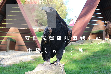 安徽皖輝律師事務(wù)所律師(皖北律師事務(wù)所)
