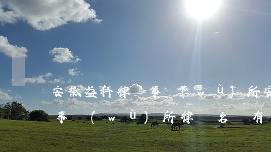 安徽盈科律師事務(wù)所(安徽盈科律師事務(wù)所律師名單有多少人)