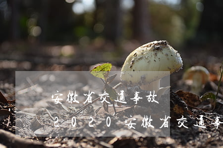 安徽省交通事故賠償標準統(tǒng)一2020(安徽省交通事故賠償標準2020年)