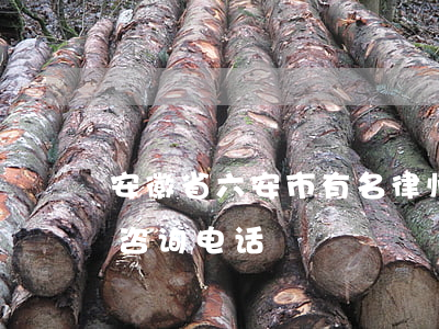 安徽省六安市有名律师(安徽六安律师事务所咨询电话)