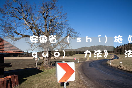 安徽省實(shí)施《中華人民共和國(guó)電力法》辦法2023最新版【全文】