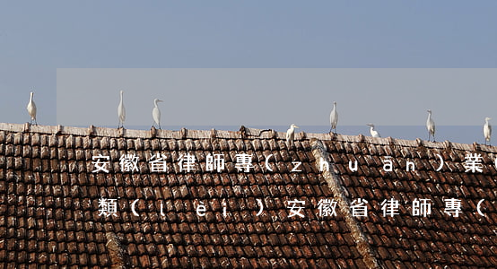 安徽省律師專(zhuān)業(yè)分類(lèi)(安徽省律師專(zhuān)業(yè)分類(lèi))