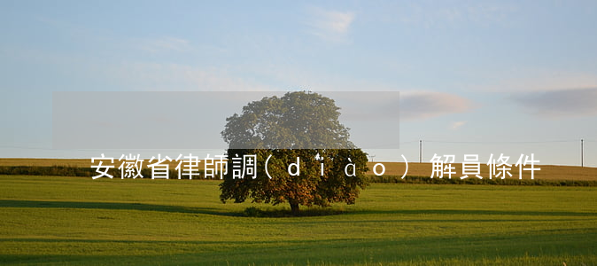 安徽省律師調(diào)解員條件