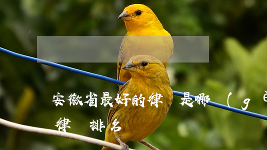 安徽省最好的律師是哪個(gè)(安徽知名律師排名)