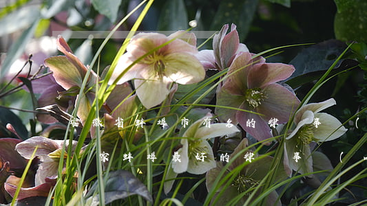 安徽省蚌埠市有名的律師事務(wù)所有幾家(蚌埠最好的律師事務(wù)所在哪里)