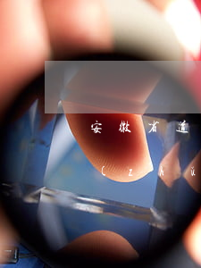 安徽省道交事故最新賠償標(biāo)準(zhǔn)(安徽省交通事故賠償標(biāo)準(zhǔn)明細(xì)表2020)