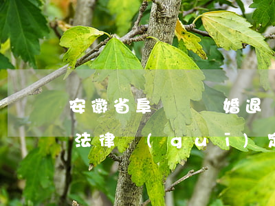 安徽省阜陽縣離婚退還彩禮(離婚返還彩禮的法律規(guī)定)