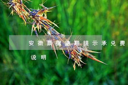 安徽票据逾期提示承兑费用-承兑逾期原因说明