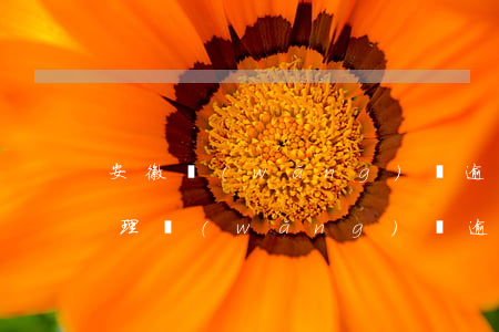 安徽網(wǎng)貸逾期退息退保怎么處理(網(wǎng)貸逾期什么是退案)