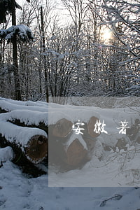 安徽著名刑事律师(安徽著名刑事律师事务所)