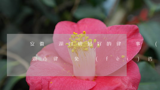 安徽蕪湖口碑最好的律師事務(wù)所(蕪湖市律師免費(fèi)咨詢)