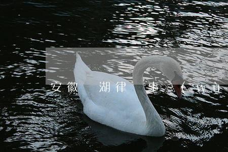安徽蕪湖律師事務(wù)所(蕪湖市律師)