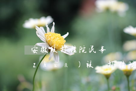 安徽被打住院民事賠償標(biāo)準(zhǔn)(被毆打住院怎么賠償)