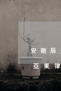 安徽辰元律師事務所(安徽辰元律師事務所陳亞東律師)