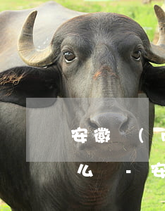 安徽農(nóng)金信用卡逾期一天會怎么樣-安徽農(nóng)金信用卡逾期一天會怎么樣嗎
