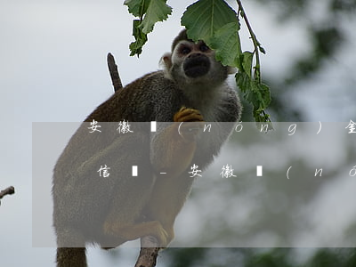 安徽農(nóng)金信用卡逾期三天上征信嗎-安徽農(nóng)金信用卡逾期三天上征信嗎有影響嗎