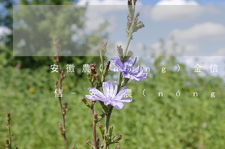 安徽農(nóng)金信用卡逾期幾天上征信-安徽農(nóng)金信用卡逾期幾天上征信啊