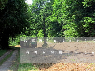 安徽農(nóng)金逾期難協(xié)商嗎(安徽農(nóng)金逾期難協(xié)商嗎)
