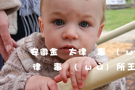 安徽金亞太律師事務(wù)所(安徽金亞太律師事務(wù)所王亞林)
