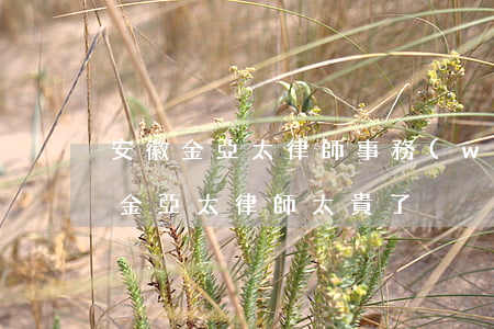 安徽金亞太律師事務(wù)所怎么樣(安徽金亞太律師太貴了)