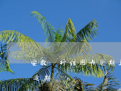 安徽銀行信用卡逾期上征信嗎(征信有信用卡逾期)