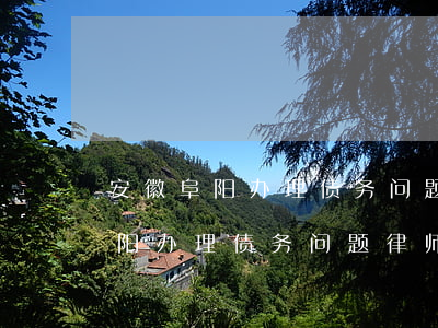 安徽阜阳办理债务问题律师多少钱-安徽阜阳办理债务问题律师多少钱啊