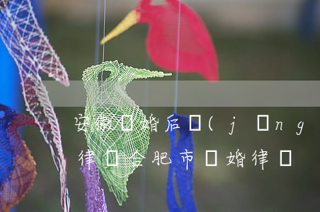 安徽離婚后經(jīng)濟(jì)糾紛律師(合肥市離婚律師)